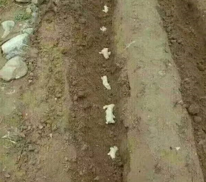 圖片 5.png 圖片 5.png