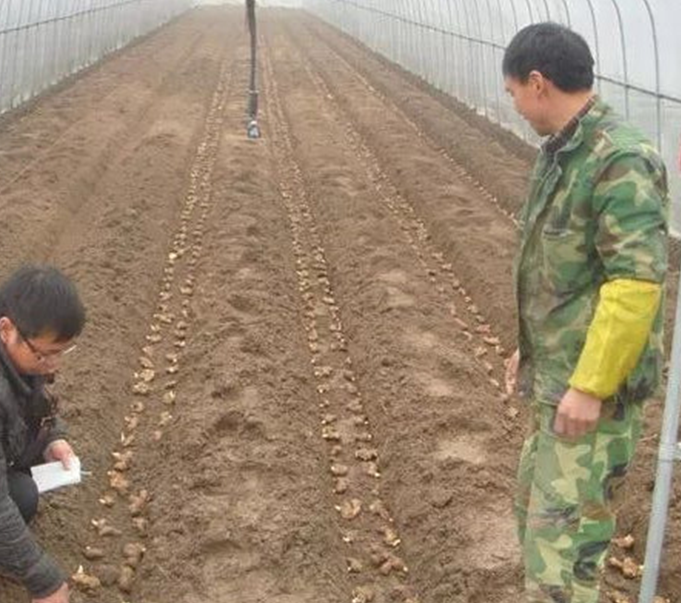 圖片 4.png 圖片 4.png