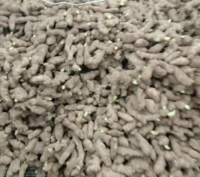 圖片 7.png 圖片 7.png