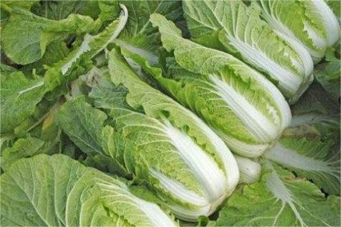 20190816110824208042780233f8d67f-adef-4927-8a7b-a2c1030d380d1 (2).jpg 20190816110824208042780233f8d67f-adef-4927-8a7b-a2c1030d380d1 (2).jpg