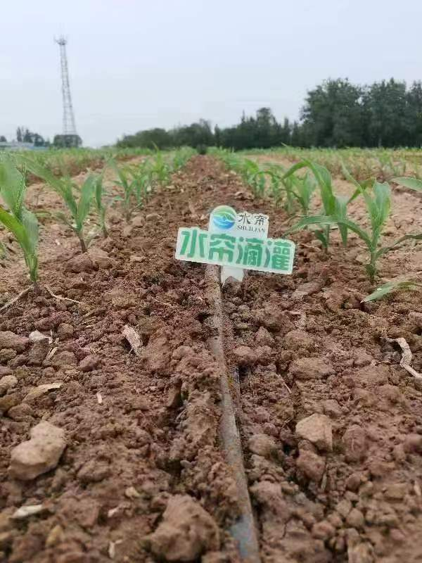 圖片6.png 圖片6.png