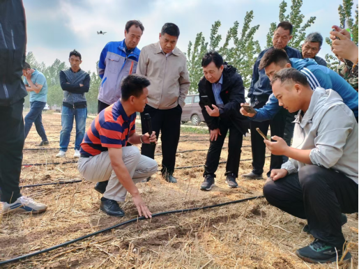 2dad90a4f5bbcfca5378477da70eb89.png 2dad90a4f5bbcfca5378477da70eb89.png