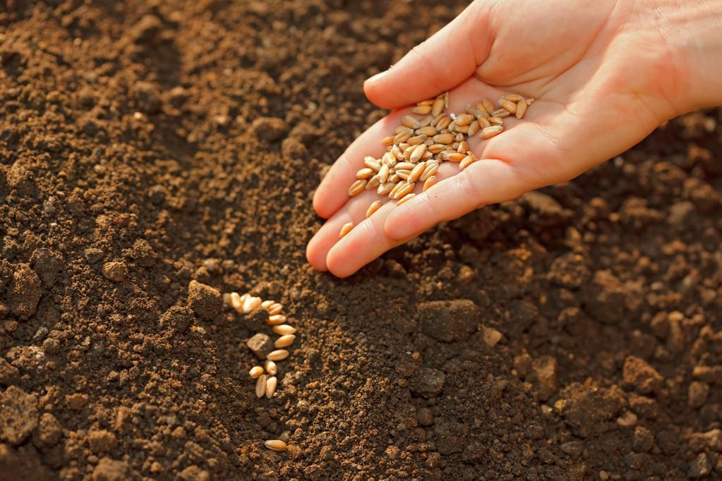 e08ea37b19557d2ec75267946fb337cf_f4db545b0dfd62a758d320af49aae33b.png e08ea37b19557d2ec75267946fb337cf_f4db545b0dfd62a758d320af49aae33b.png